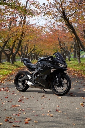 その他 カワサキ ニンジャ ZX-25R Kawasaki Ninja ZX-25R - Wikipedia