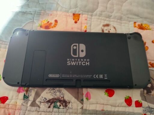 Nintendo Switch 本体 ジャンク品 Nintendo Switch 本体 ジャンク