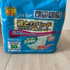 ヤナセ除雪機Y8-9GR定価62万円早割！期間限定価格！