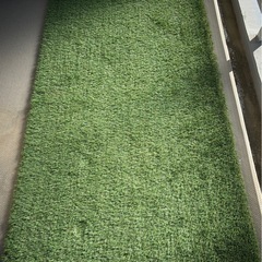 東京都の人工芝の中古が安い！激安で譲ります・無料であげます｜ジモティー 