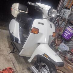 ジャンク】 【尾道市発】ヤマハ YAMAHA ベルーガ BELUGA 5G6