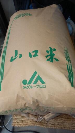 ひとめぼれ 会津産ひとめぼれ玄米 30kg(30kg×1袋) 令和7年産 福島県産
