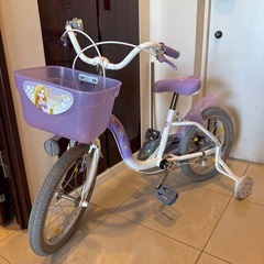 北見市発】Adventure begins with Friends ラプンツェル ジュニア