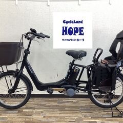 DAINICHI] ander perry(アンダーペリー)20吋 ファミリーサイクル  