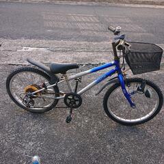 茨城直接受取る限定ビアンキカメリオンテクロスバイク (トリイ) 猿島の  