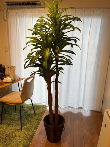 観葉植物（レプリカ）