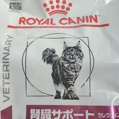 ゲーミングセット全て】 omen45L ZOWIE2546k