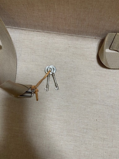 未使用 グローブトロッター Safari 21インチ キャンバス カバー 鍵