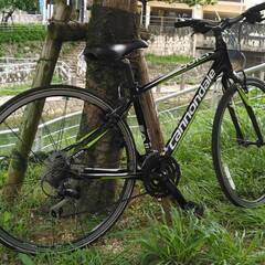 ◇ カインズオリジナル：ファットバイクバンフBANFF 26インチ外装6段  