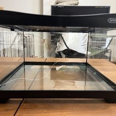 受付停止中】飼育ケージ（ガラス製）