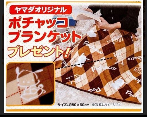 ヤマダデンキ サンリオ ポチャッコ ブランケット サンリオ - ぽちゃっこ ブランケット ヤマダ電機の通販 by