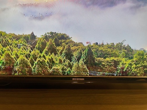 LUCA 液晶テレビ GoogleTV搭載 40V型 LT-40FGX-F1 H104398 │アイリス 
