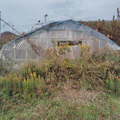 東京都のビニールハウスの中古が安い！激安で譲ります・無料であげます  