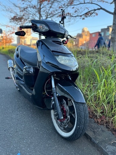 シグナスse12j