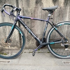 値下げ)the park P20 ミニベロ - 自転車