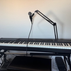 お取引中【5/26まで】防音室 オトダス2本体,吸音材12枚,ファン付き天井  