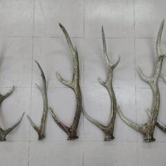 超希少【未使用】木造ガレージ 1.7坪 コンテナ 物置 倉庫 アルミ箱