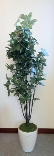フェイクグリーン　人工観葉植物