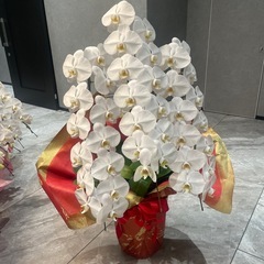 ♦︎駐車場業者向け♦︎ ラミネート A3 サイン看板 印刷 1000枚〜 代行