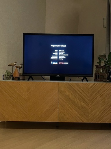 TCL 32型テレビ/IO DATA HD-UT2X(レコーダー)