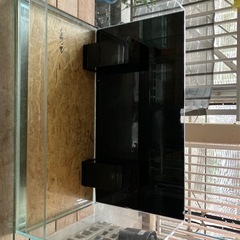 美品90センチ 水槽 決まりました ありがとうございました