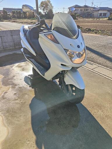 ヤマハ　マジェスティC　250cc ビックスクーター