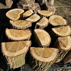 北広島市 ナラ 玉切り材 1立米 約40cm