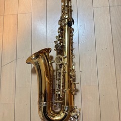 Fernandes FST-60 1973年製 フェルナンデス最初期