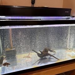 1800×900×600OF水槽　生体フルセット 1800×900×600OF水槽 生体フルセット