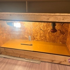 爬虫類ケージ SNUGLE スナグル 超美品 暖突、観賞用LED付き 9/28まで！