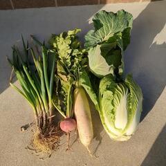 新米【2024年生産のコシヒカリです！！】【9/14(土)13時〜15時】の間で