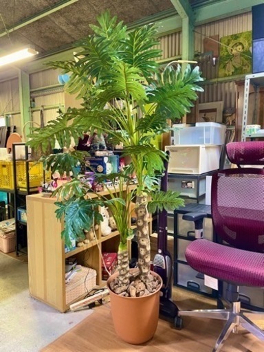 セローム 人工観葉植物✨【大型】高さ約2M