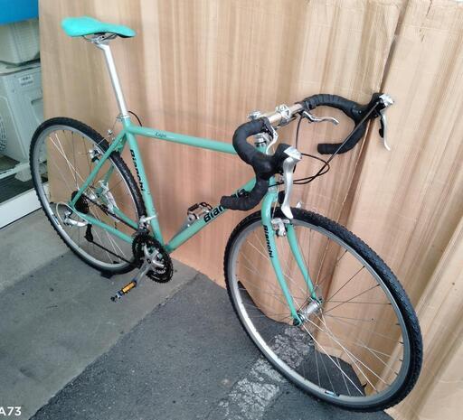 BIANCHI LUPO フレーム　ルポ　ビアンキ BIANCHI LUPO フレーム ルポ ビアンキ