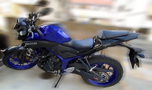 【1月末まで】YAMAHA MT25