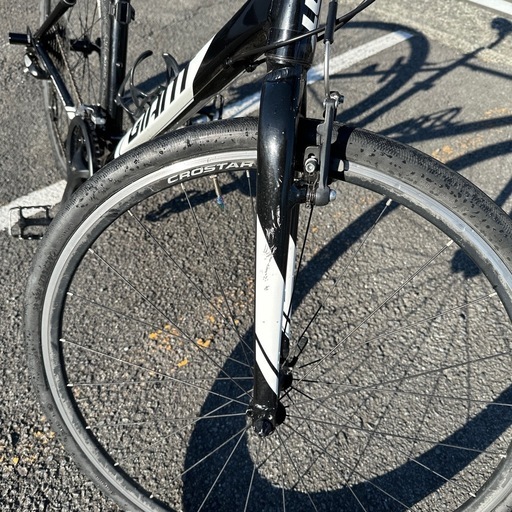 掛軸 馬場景泉 青楓杜鵑図 共箱 円山派 鳥 夜 月 掛軸五】[馬場景泉