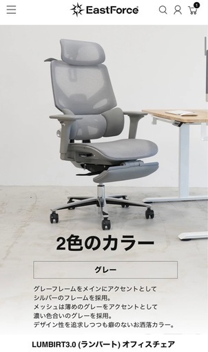 LUMBIRT 3.0 EastForce LUMBIRT2.0 グレー EastForce LUMBIRT