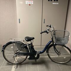 SHAULA シャウラ Y 