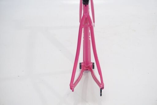 LOUIS GARNEAU 「ルイガノ」 2011年頃モデル フレームセット LOUIS 