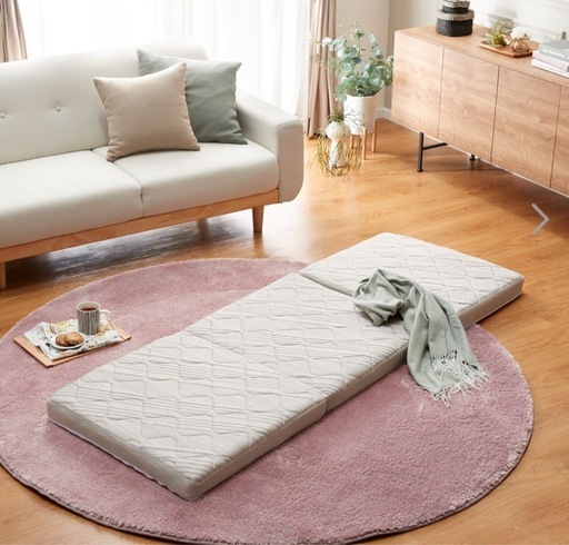 モリリン東洋紡ブレスエアー レガリス ＜シングル＞ショップチャンネル