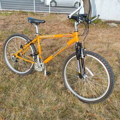 KIRA NEO BIKE LS COMPO 14インチ折りたたみ OLD DAHON 台湾  