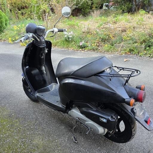 トゥデイ 訳アリ ブルー 千葉県より 配達可能！ 感動のマーメイド