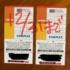 最安値　HYスカイフェス　24日大人入場チケット　2人分 最安値 HYスカイフェス 24日大人入場チケット 2人分