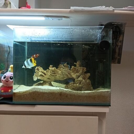 海水魚水槽 飼育セット一式