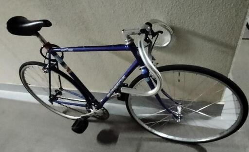 ロードバイク】Bianchi ビアンキ intrepida イントレピーダ カーボン