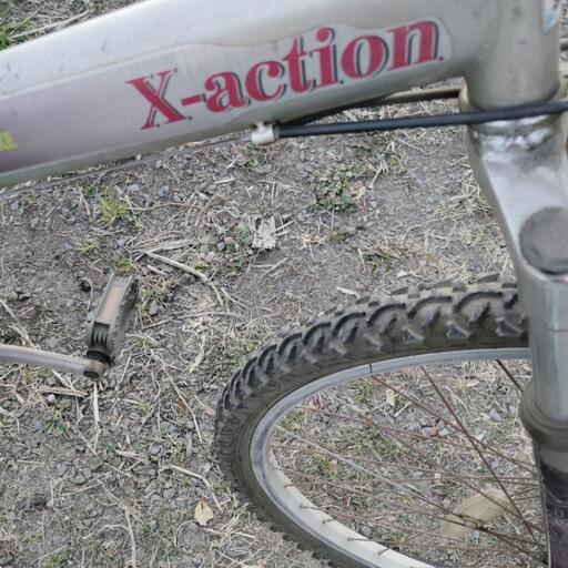 CHEVROLET 折りたたみ マウンテンミニベロ Wサス 20インチ シルバー