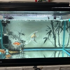 那覇～引き取り限定品☆水槽【90サイズ】＆水槽台＆鑑賞ヤシ【つぼ付き】