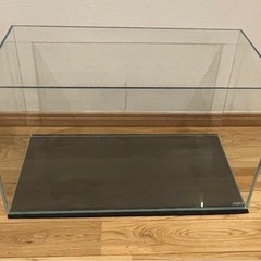 買い手が決まりました中古   ６０cm水槽 買い手が決まりました中古 60cm水槽