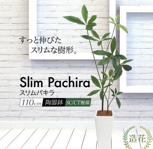 フェイクグリーン　パキラ