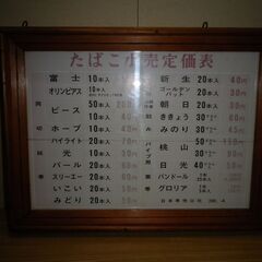 札幌近郊送料無料】ヤナセ YANASE 除雪機 ミスターパワー 【電動