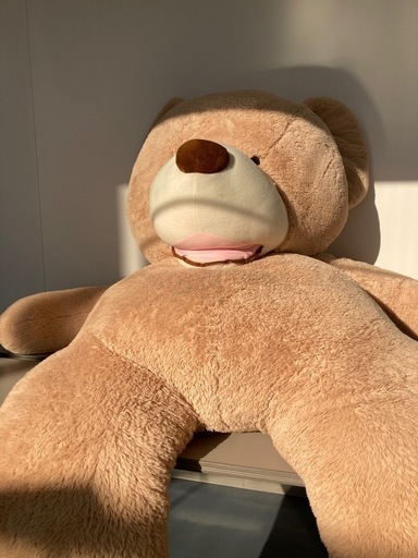 No.20 クマのぬいぐるみ（豊橋市資源化センターリユース品）